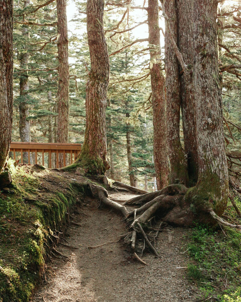 Hiking in Alaska | MALLORIE OWENS