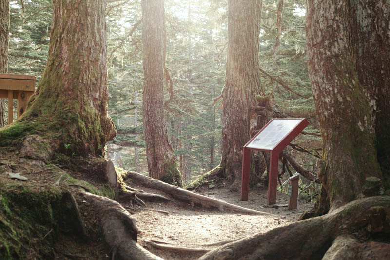 Mt. Roberts Hiking Trail, Juneau, Alaska | MALLORIE OWENS