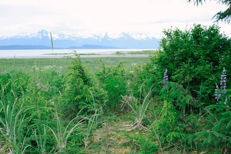 Eagle Beach, Juneau, Alaska | MALLORIE OWENS