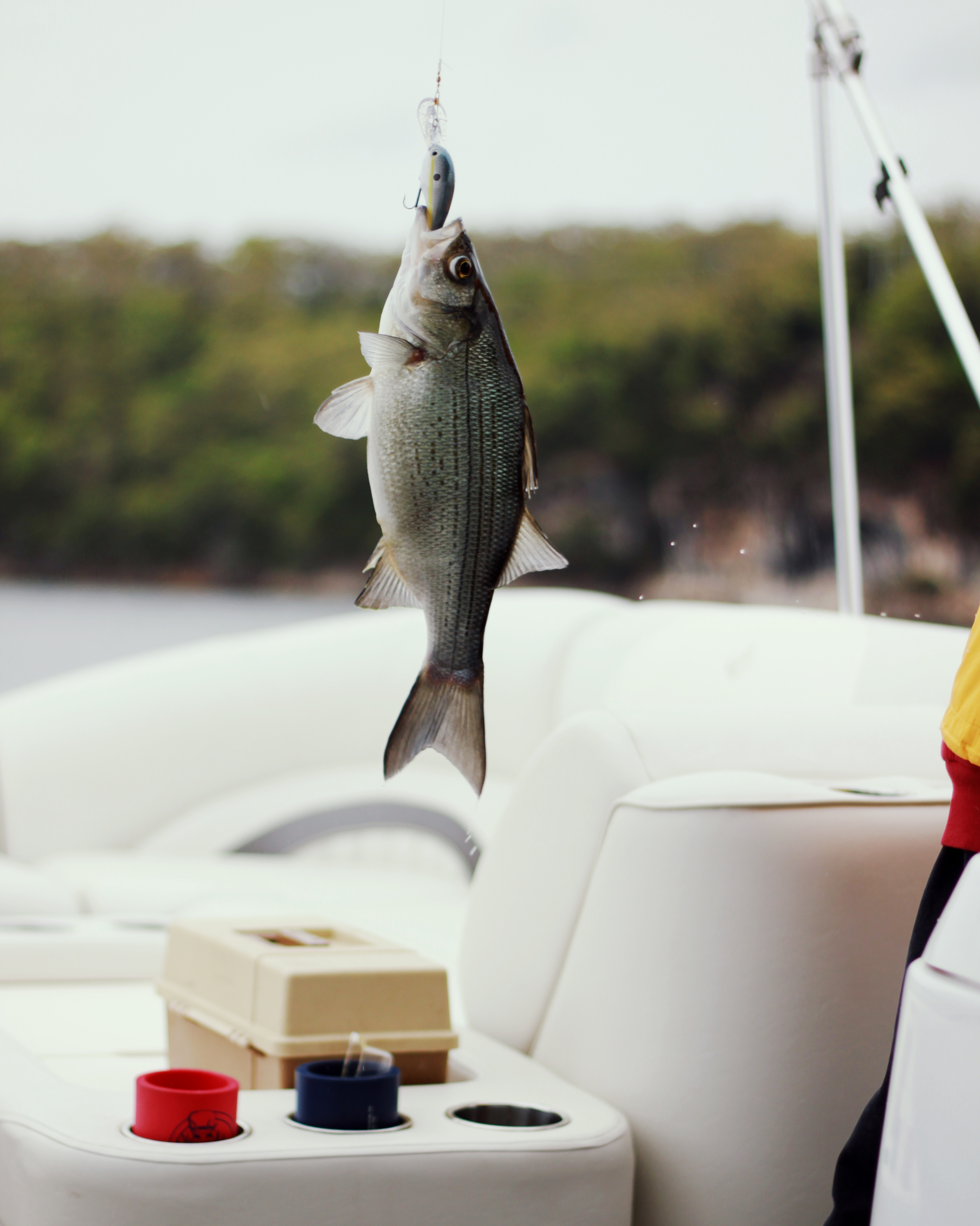 Fishing | MALLORIE OWENS