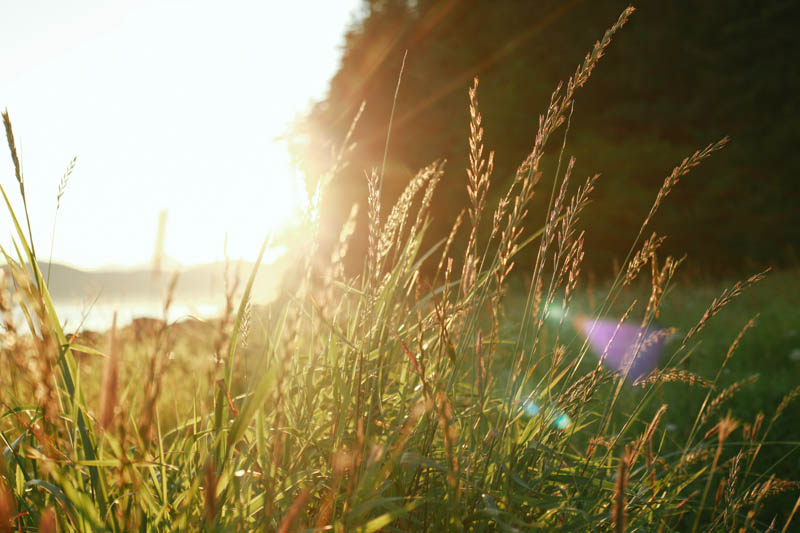 Sunset at Point Louisa, Juneau, Alaska | MALLORIE OWENS