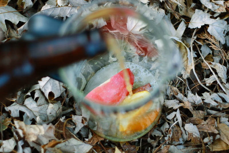 Fall Beer Infused with Fruit Recipe | MALLORIE OWENS