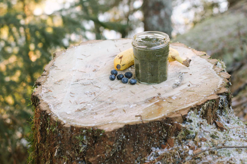Superfood Smoothie Recipe | MALLORIE OWENS