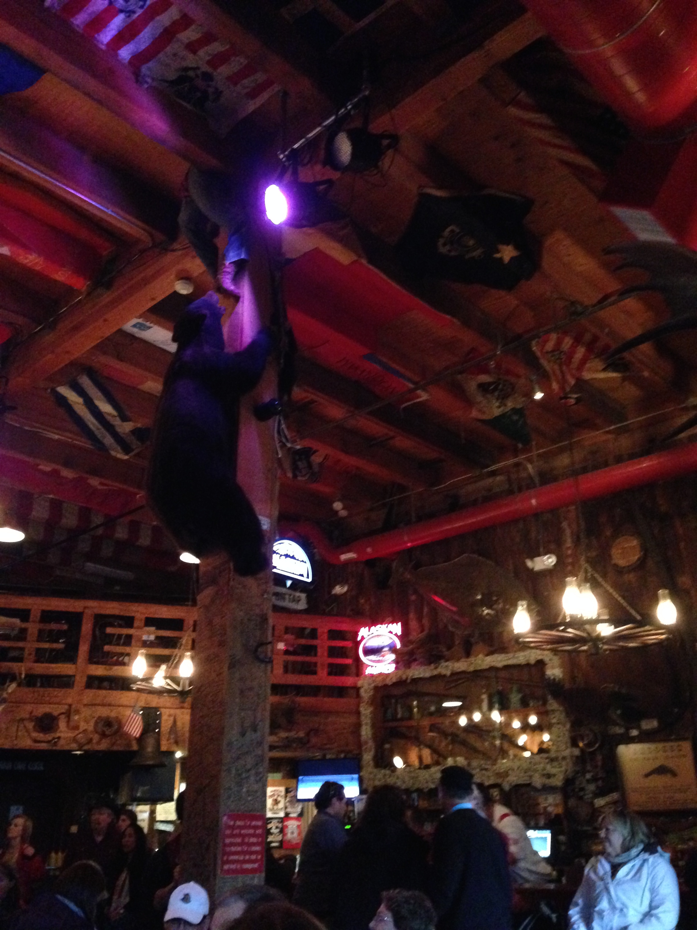 Places to Eat in Juneau, Alaska ↠ Red Dog Saloon | MALLORIE OWENS