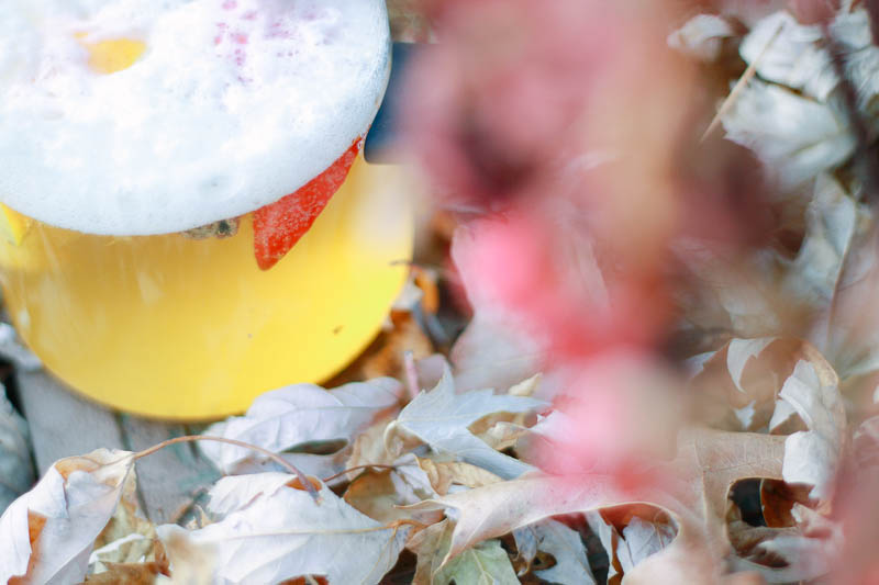 Fall Beer Infusion Using French Press Recipe | MALLORIE OWENS