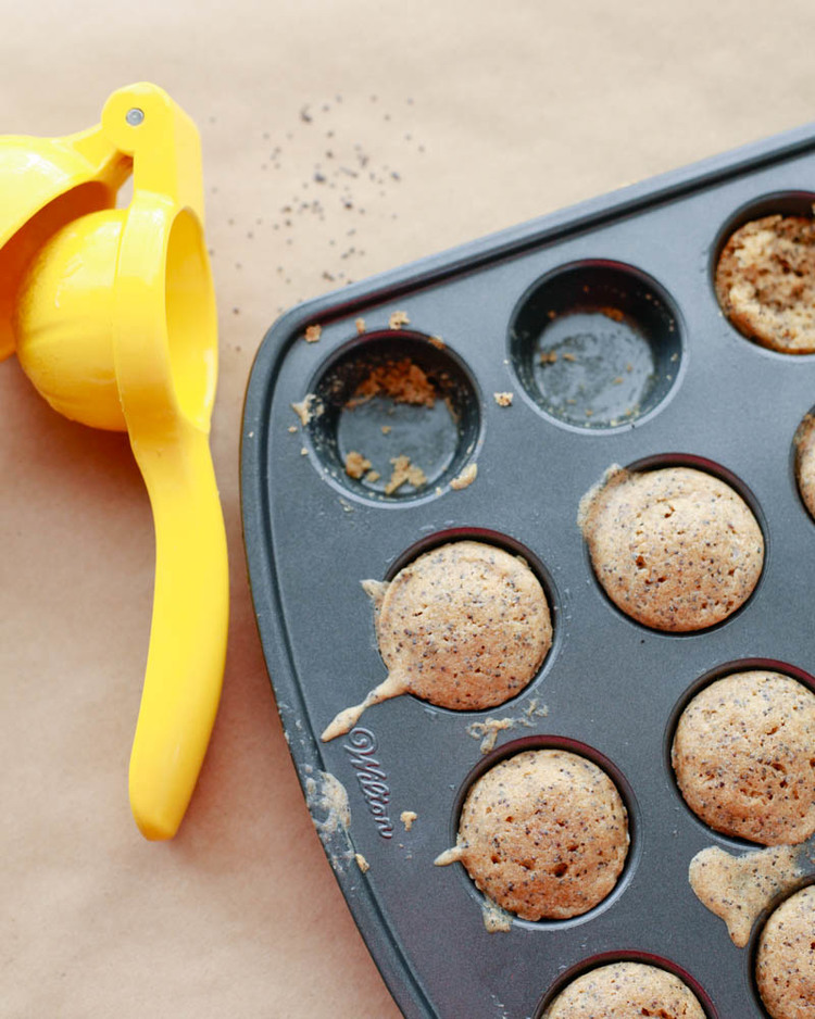 Mini Whole Wheat Lemon Poppy Seed Muffins Recipe | MALLORIE OWENS