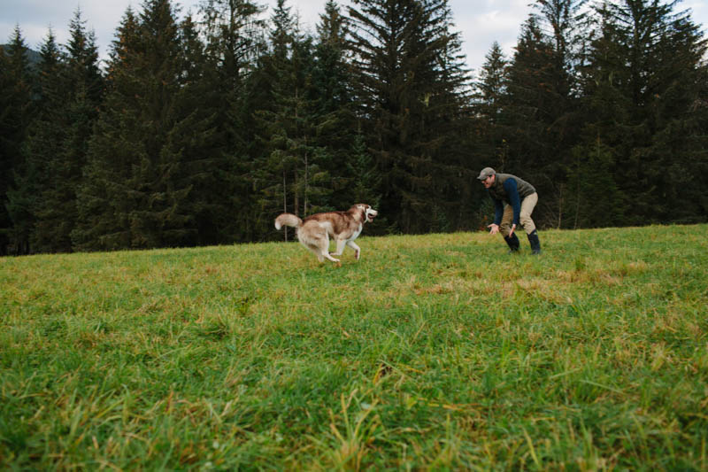 Atka the Alaskan Malamute | MALLORIE OWENS