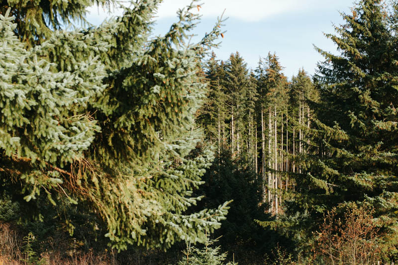 Places to Visit in Juneau, Alaska ↠ Eagle Beach | MALLORIE OWENS