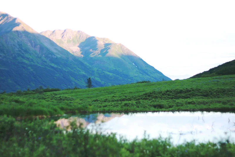 Anchorage, Alaska | MALLORIE OWENS