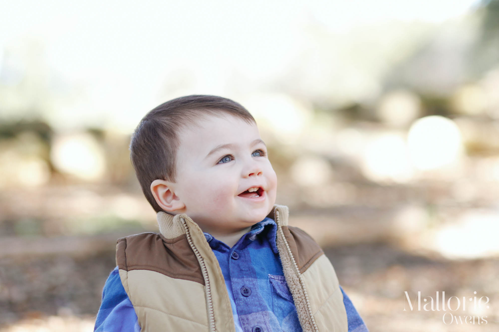 Austin Family Photographer | MALLORIE OWENS