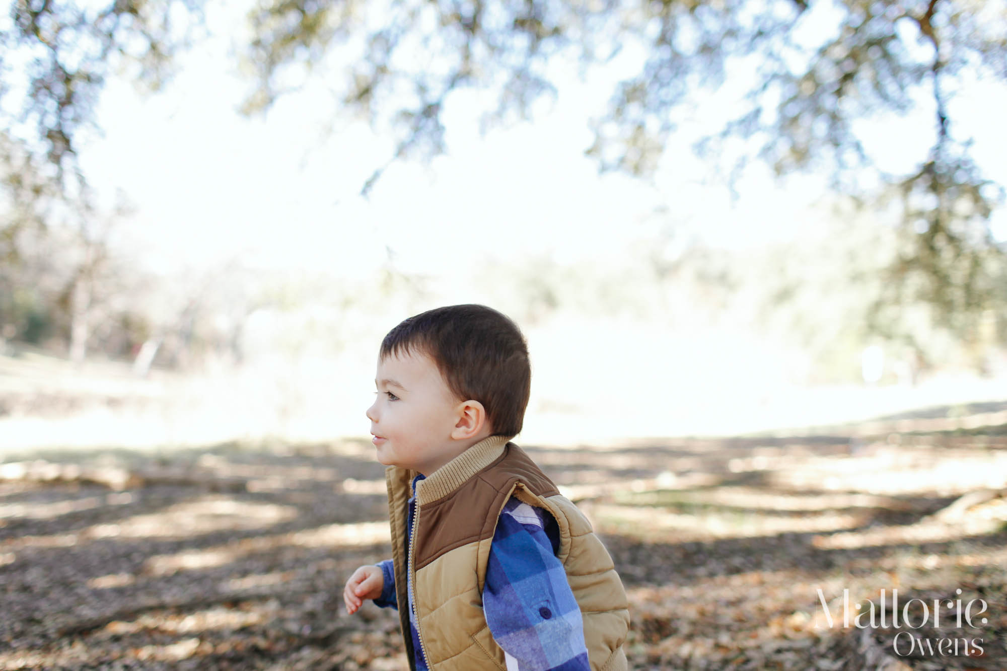 Austin Family Photography | MALLORIE OWENS