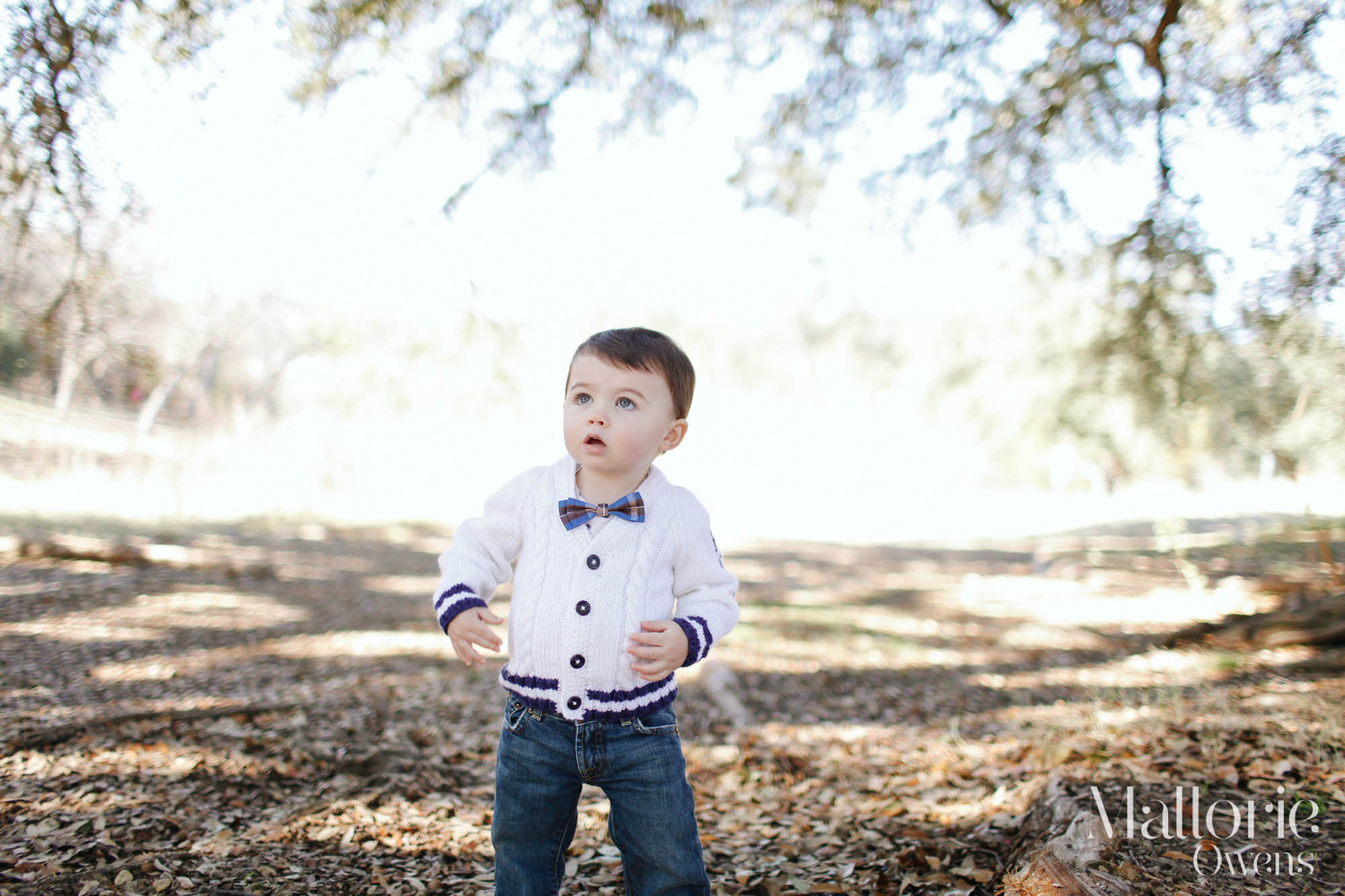 Austin Family Photographer | MALLORIE OWENS