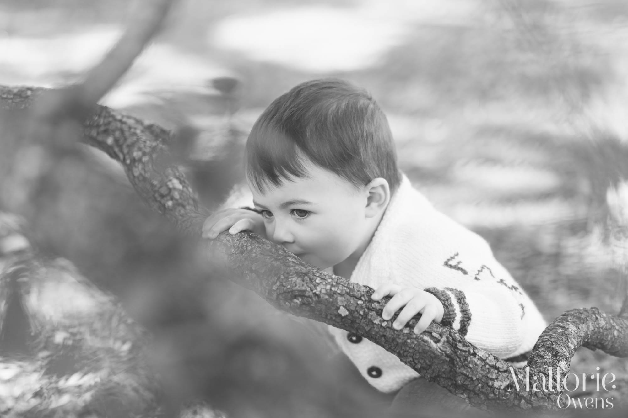Austin Family Photography | MALLORIE OWENS