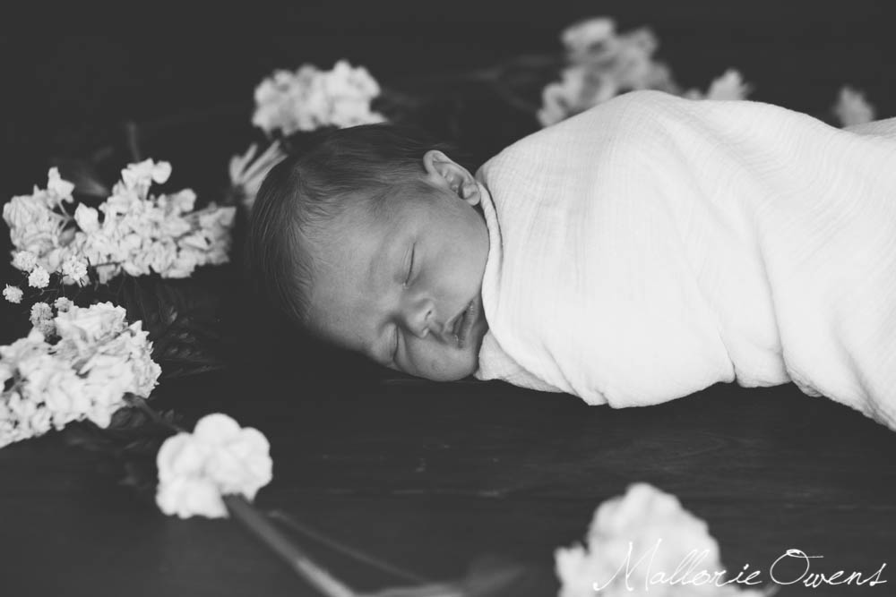 Newborn Photographer | MALLORIE OWENS