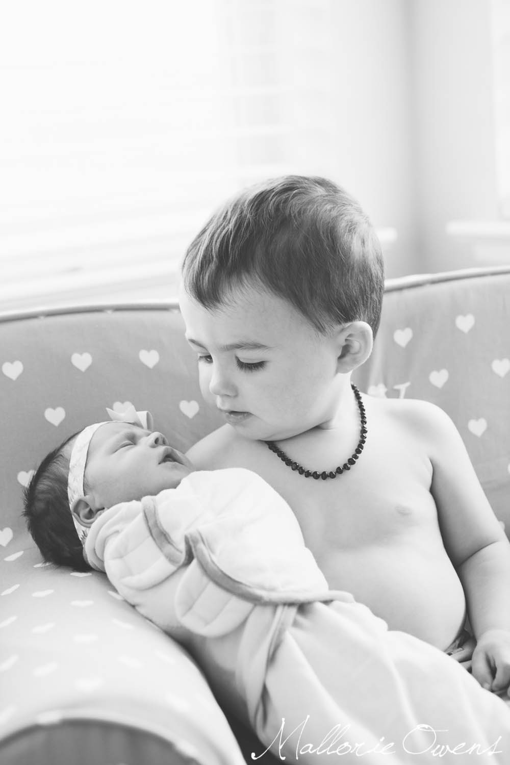 Austin Newborn Photographer | MALLORIE OWENS