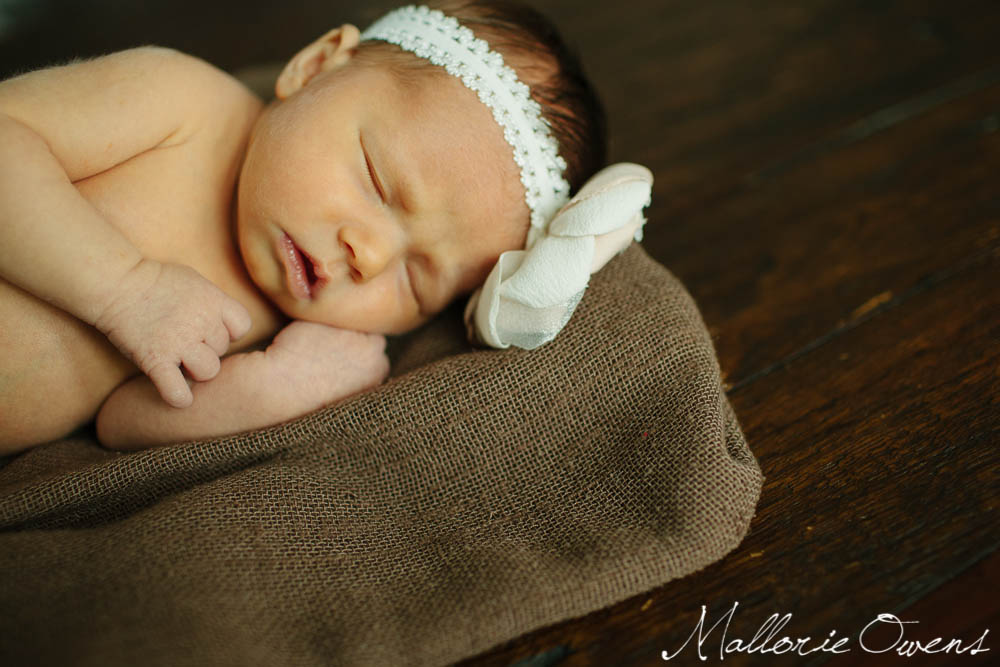 Newborn Photography | MALLORIE OWENS