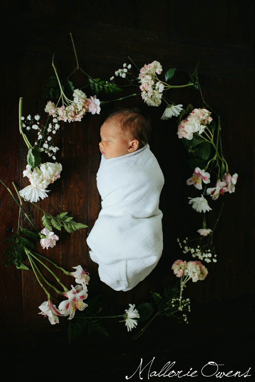 Newborn Photography | MALLORIE OWENS