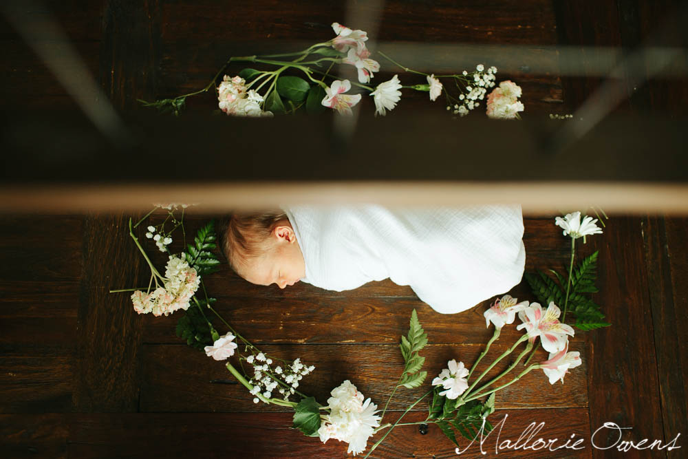 Newborn Photographer | MALLORIE OWENS