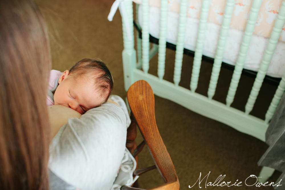 Austin Newborn Photographer | MALLORIE OWENS