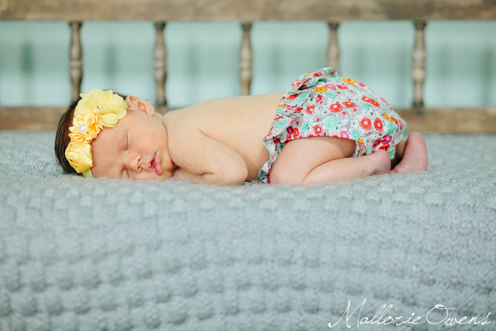 Newborn Photography | MALLORIE OWENS