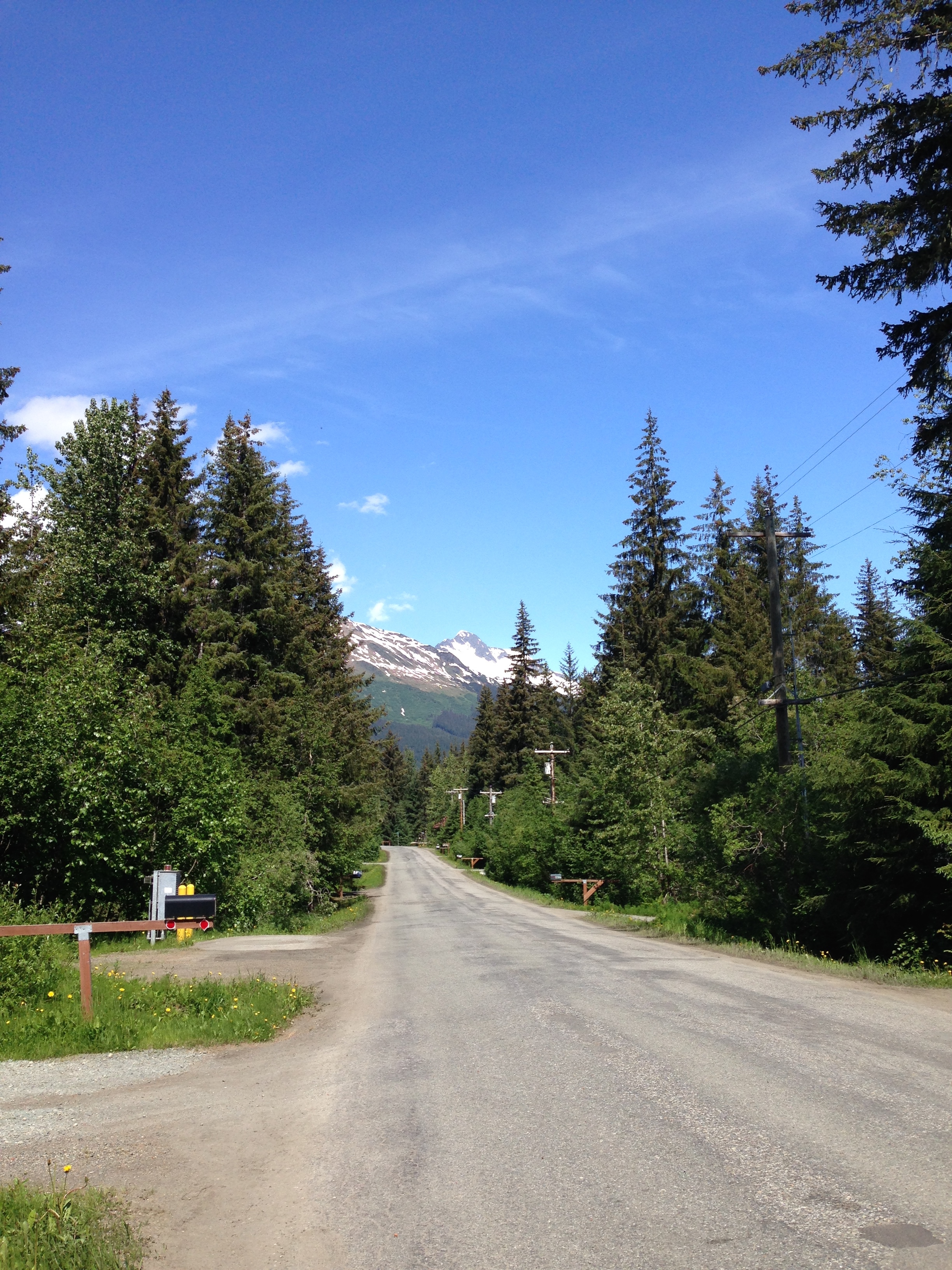 Places to Visit in Juneau, Alaska | MALLORIE OWENS