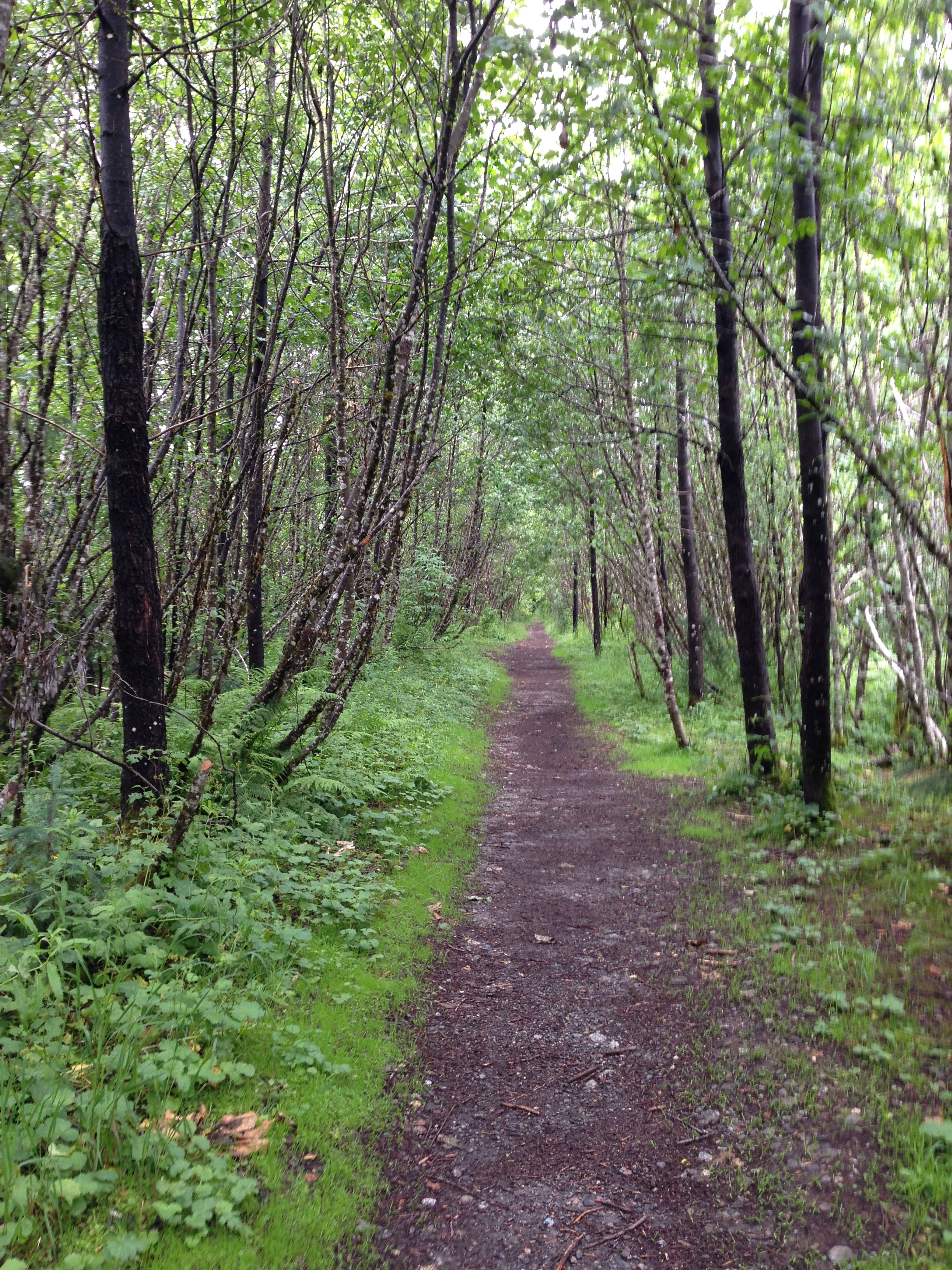 Places to Visit in Juneau, Alaska | MALLORIE OWENS