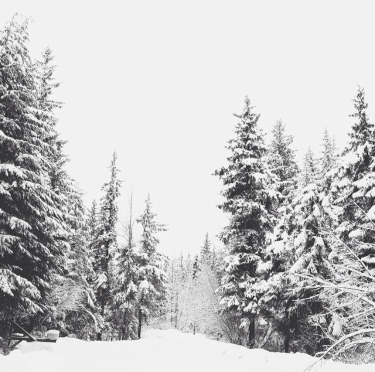 Places to Visit in Juneau, Alaska | MALLORIE OWENS