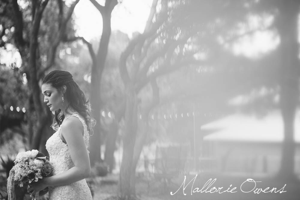 Austin Wedding Photography | MALLORIE OWENS