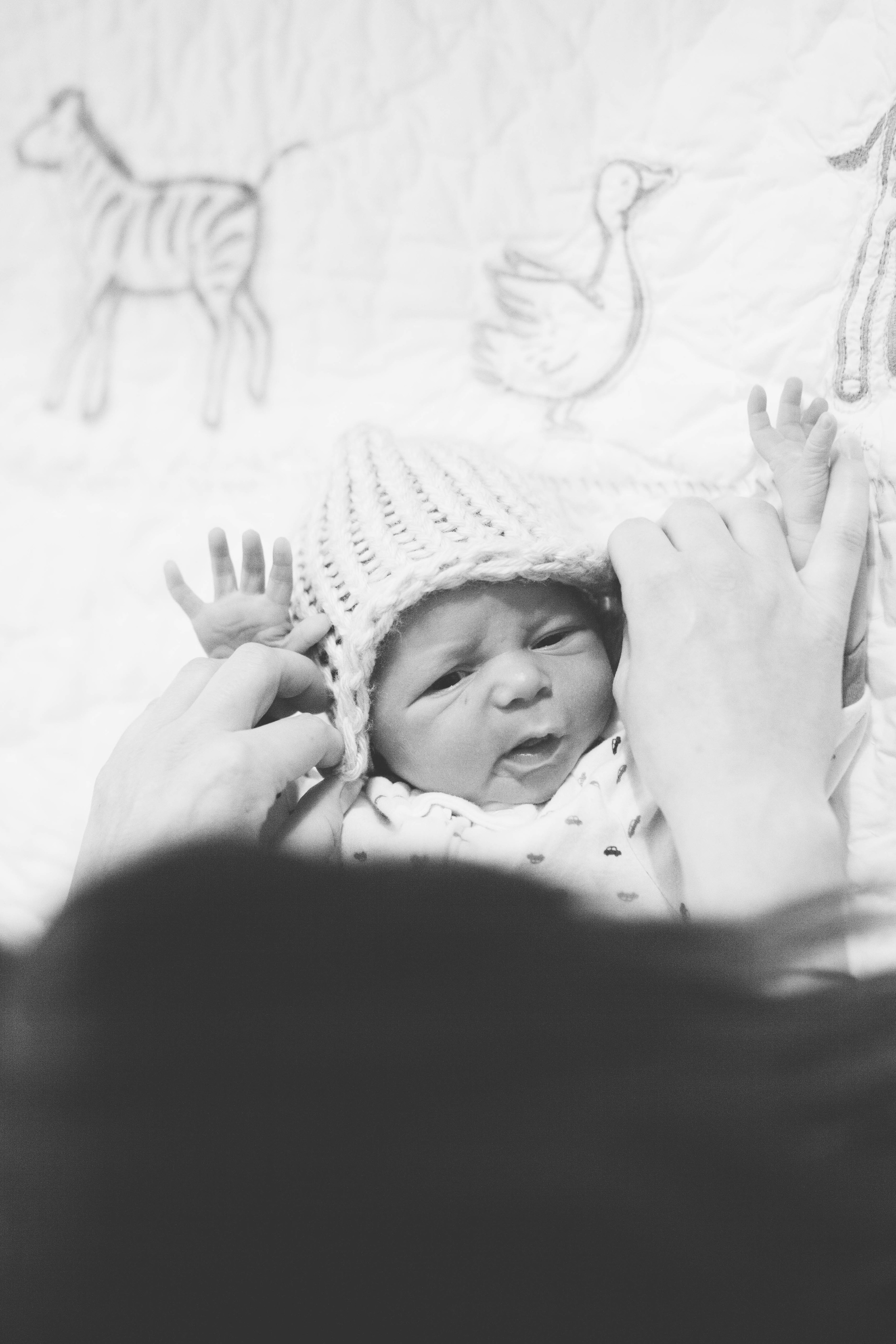 Kansas City Newborn Portraits | MALLORIE OWENS