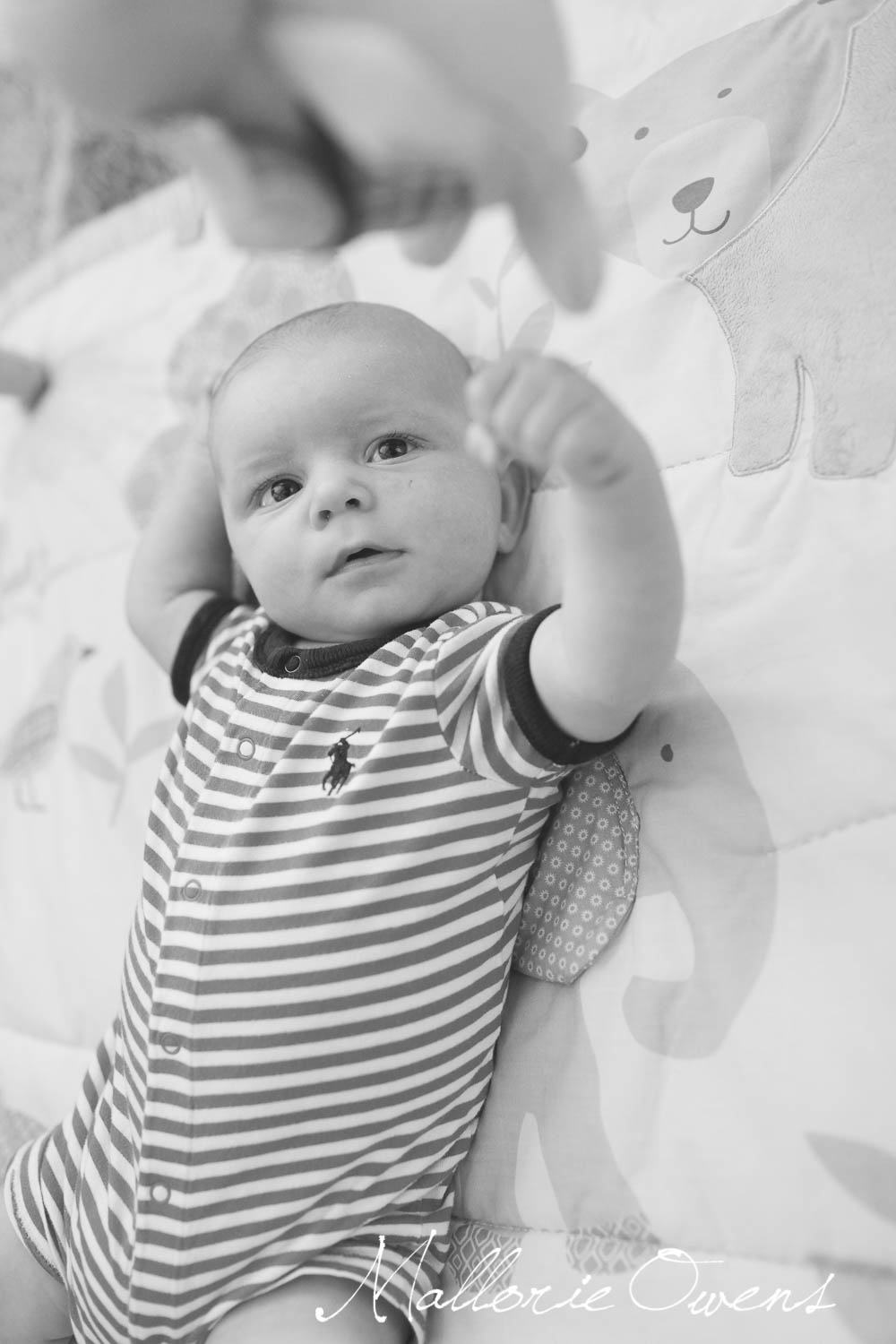 Kansas City Newborn Portraits | MALLORIE OWENS