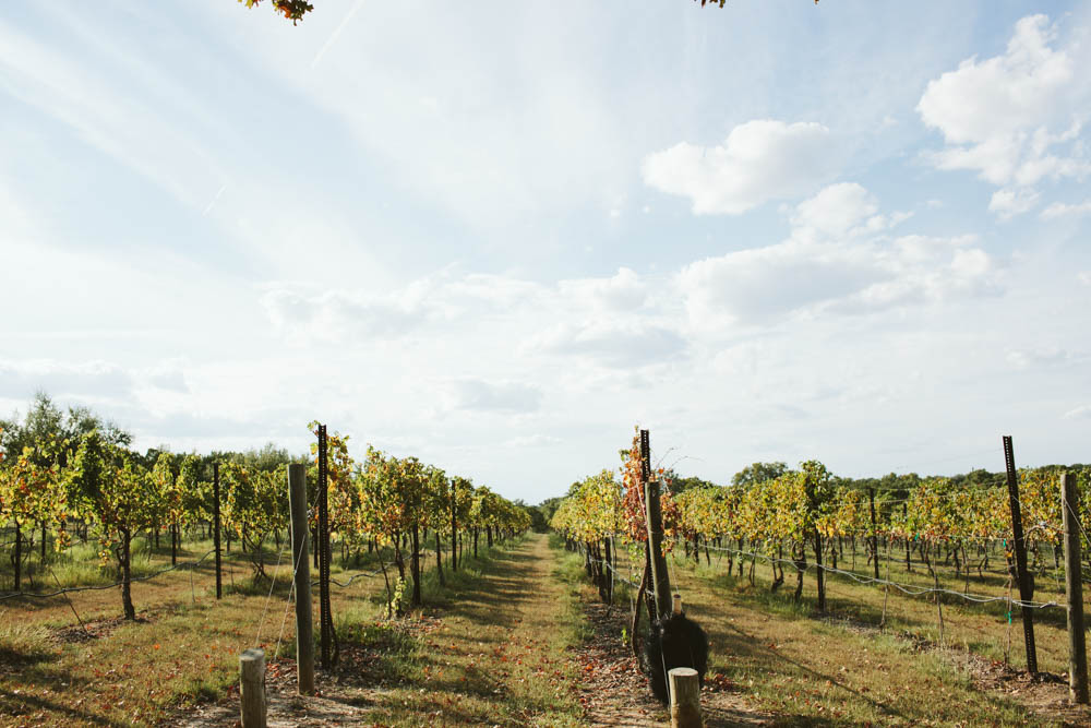 Places to Visit in Austin, Texas ↠ Westcave Cellars Winery | MALLORIE OWENS