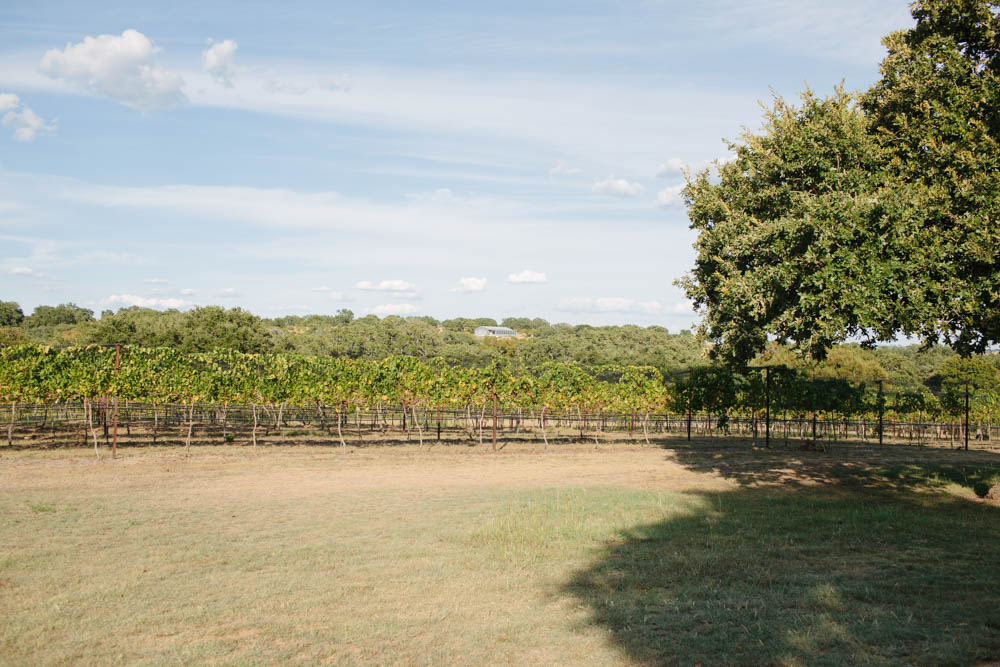 Places to Visit in Austin, Texas ↠ Westcave Cellars Winery | MALLORIE OWENS