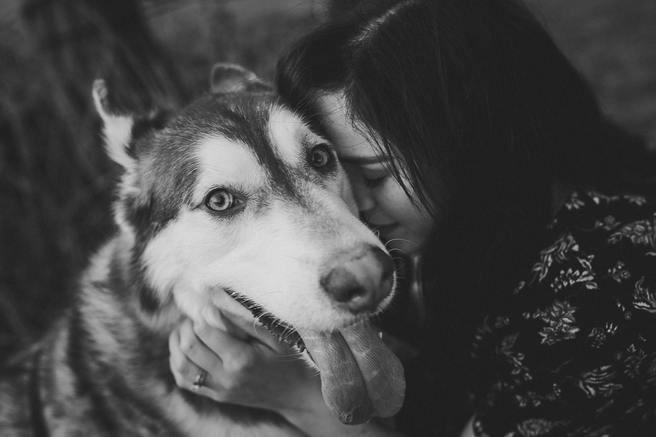 Family Photo Session with Dogs | MALLORIE OWENS