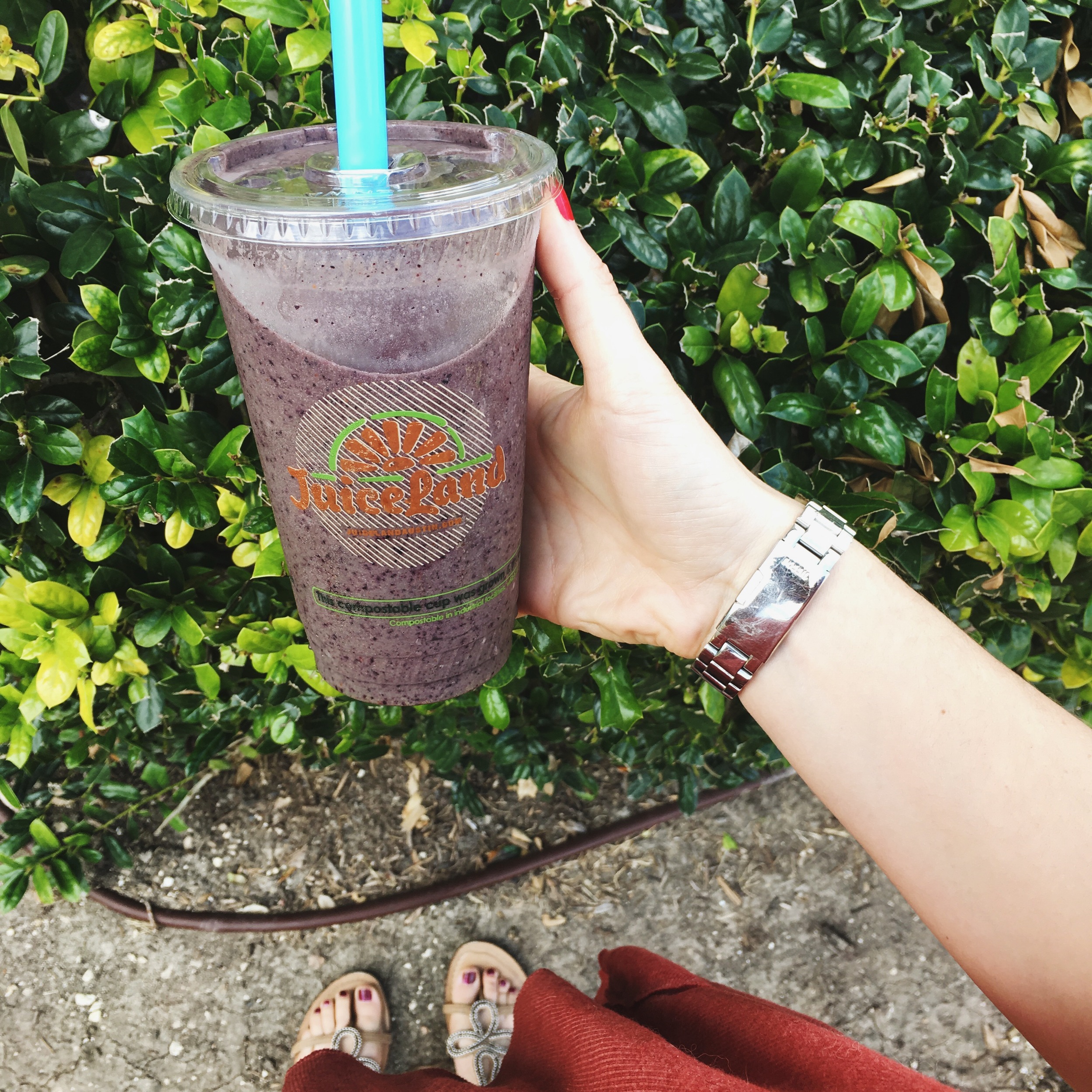 JuiceLand Austin Menu Originator | MALLORIE OWENS