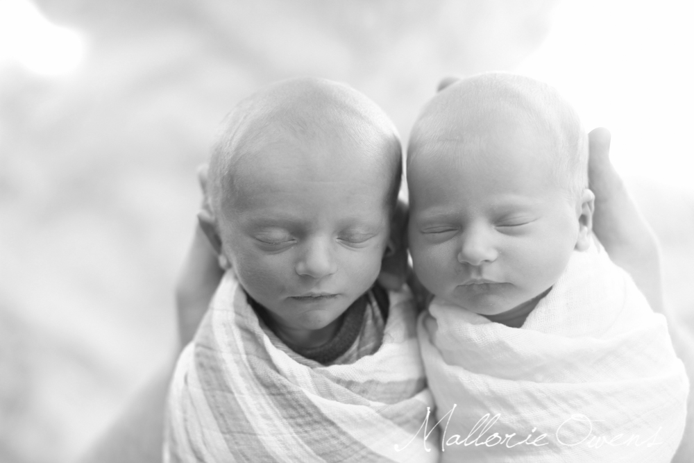 Newborn Twins Photography | MALLORIE OWENS