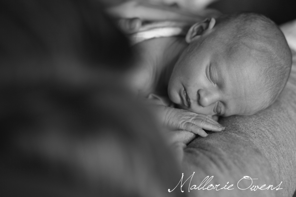 Fine Art Newborn Photography | MALLORIE OWENS