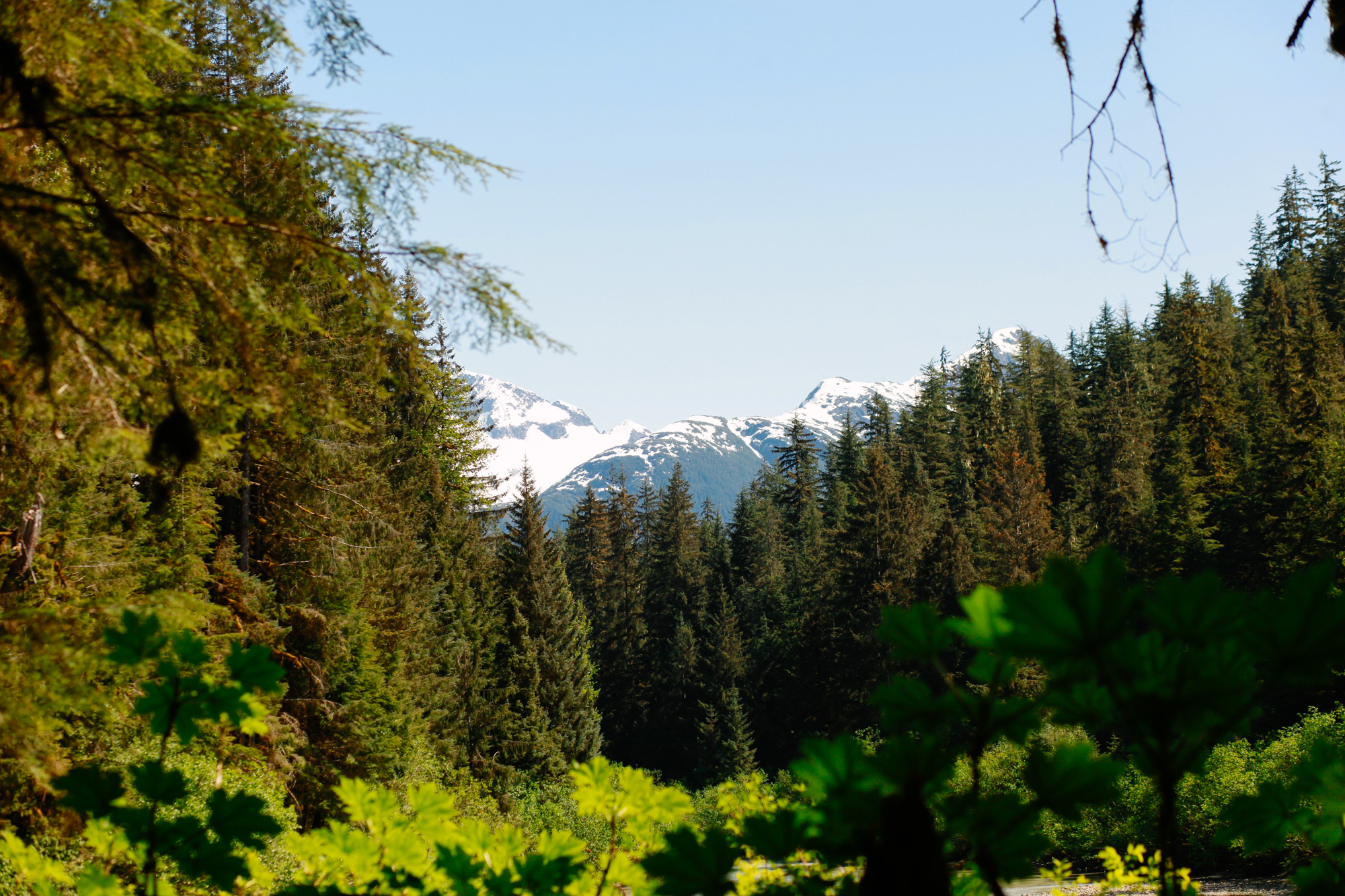 Places to Visit in Juneau, Alaska ↠ Herbert Glacier Trail | MALLORIE OWENS