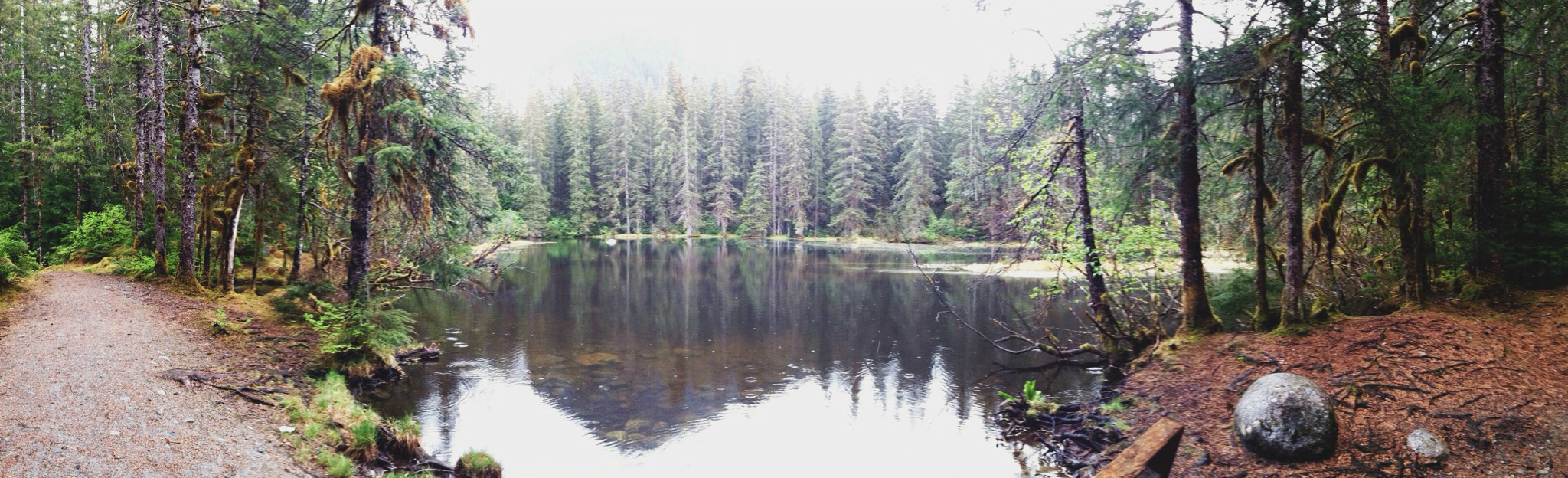 Places to Visit in Juneau, Alaska ↠ Herbert Glacier Trail | MALLORIE OWENS