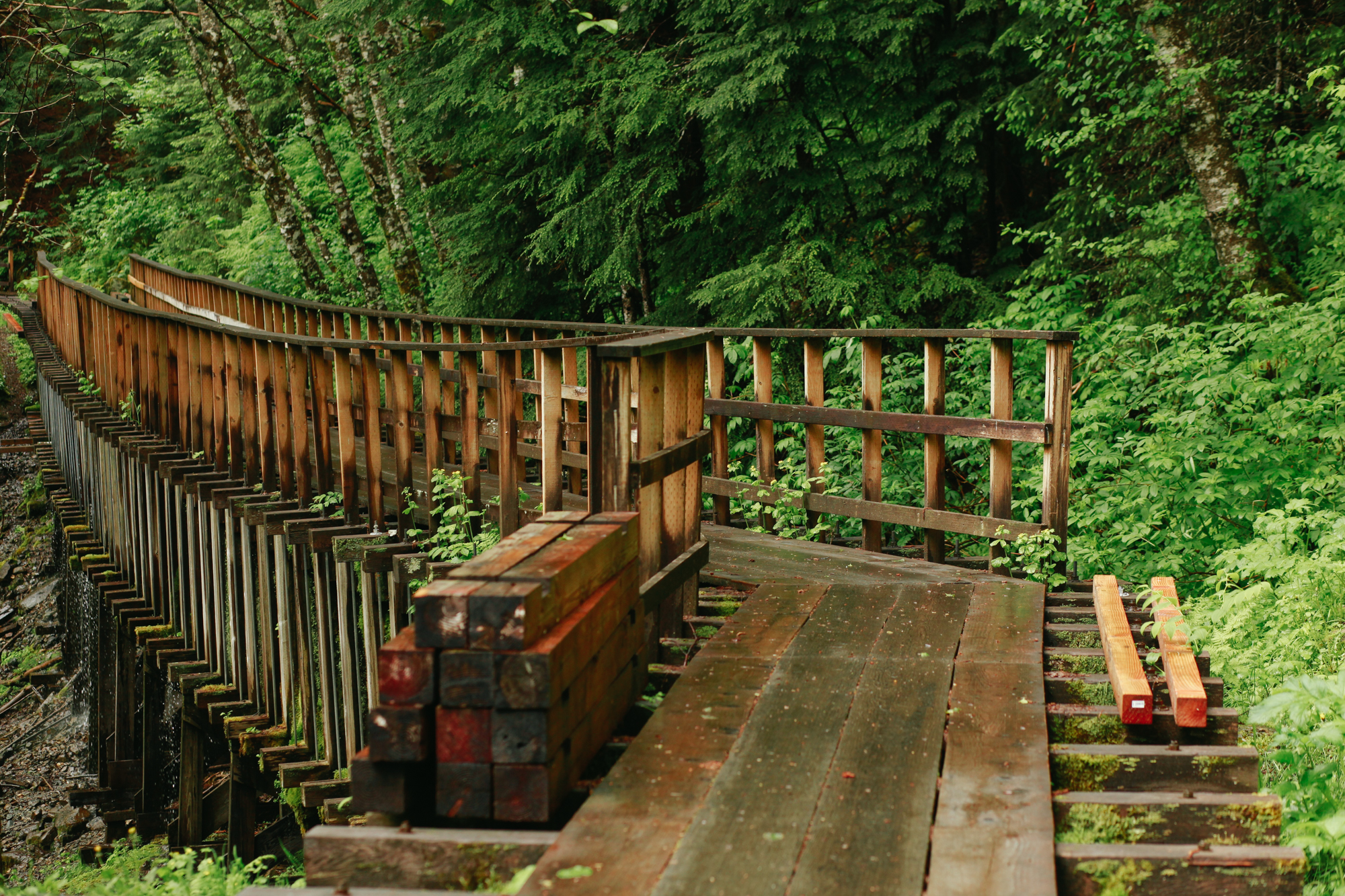 Hiking Trail in Juneau, Alaska | Gold Creek Flume Trail | MALLORIE OWENS