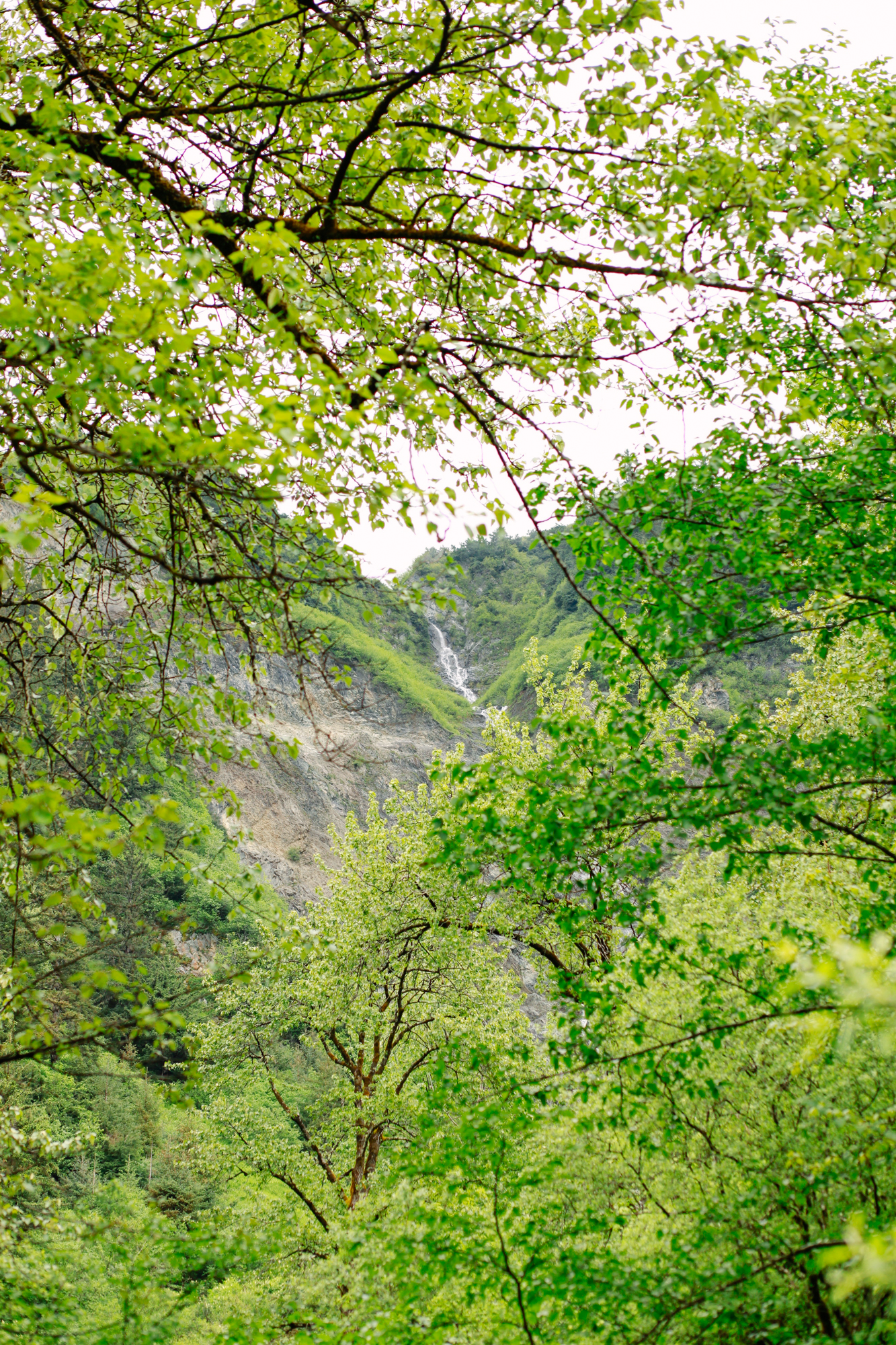 Hiking Trail in Juneau, Alaska | Gold Creek Flume Trail | MALLORIE OWENS