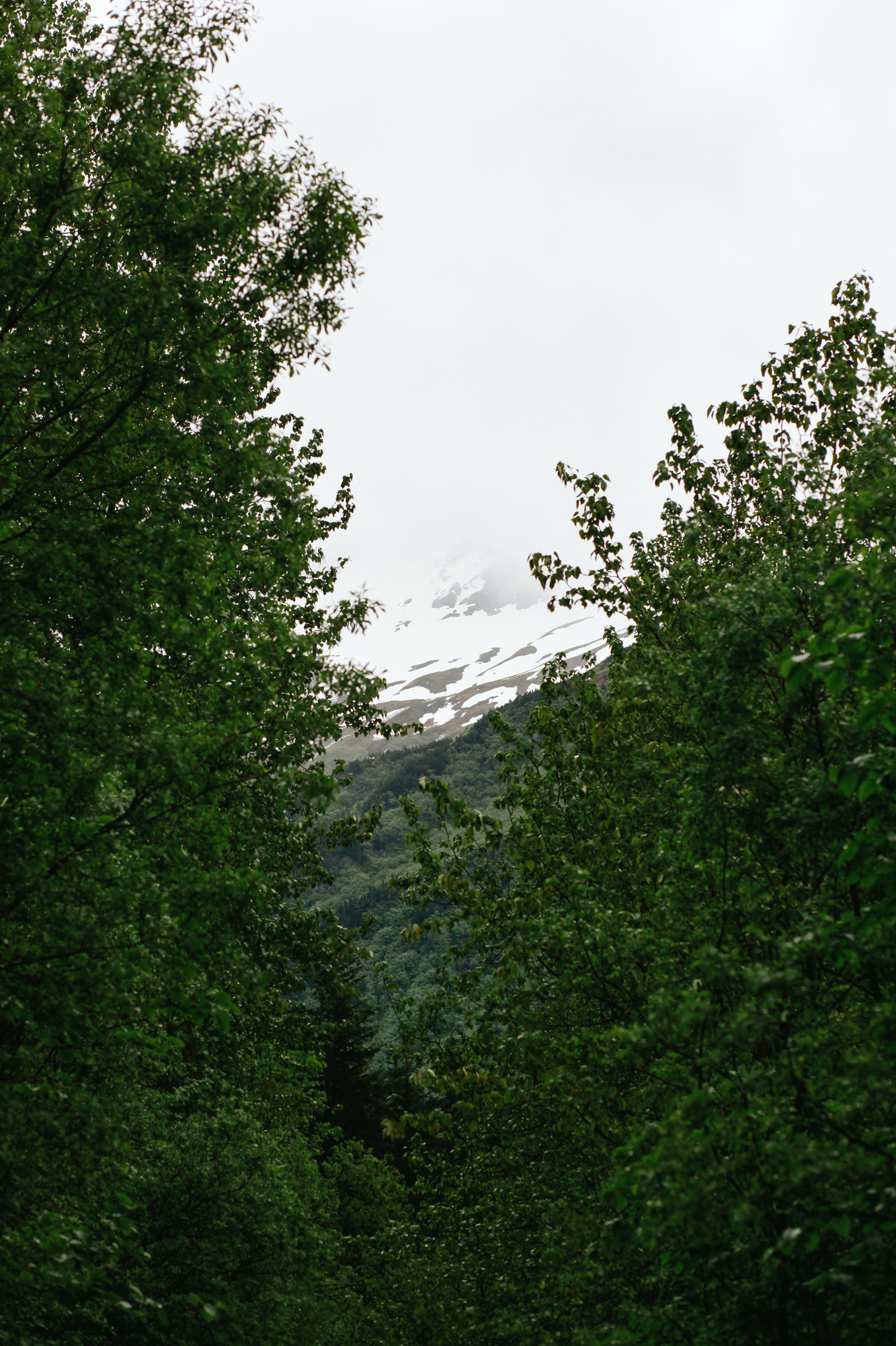 Hiking Trail in Juneau, Alaska | Gold Creek Flume Trail | MALLORIE OWENS