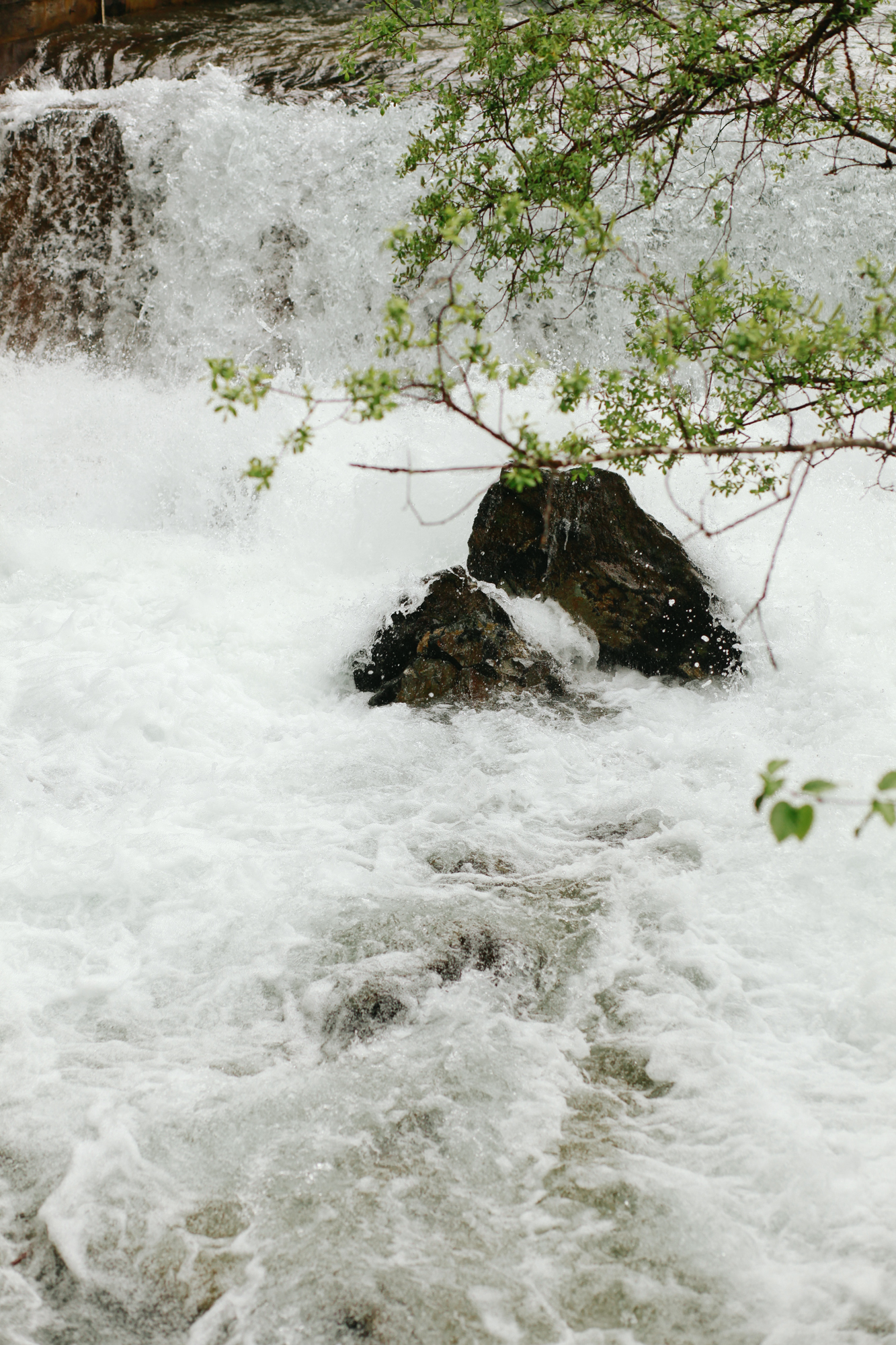 Hiking Trail in Juneau, Alaska | Gold Creek Flume Trail | MALLORIE OWENS