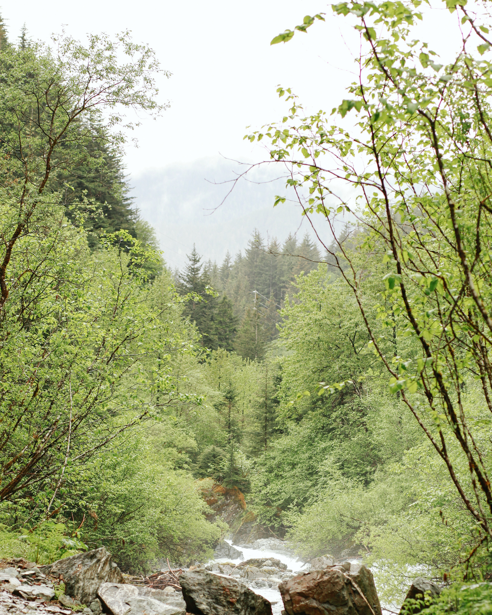 Hiking Trail in Juneau, Alaska | Gold Creek Flume Trail | MALLORIE OWENS