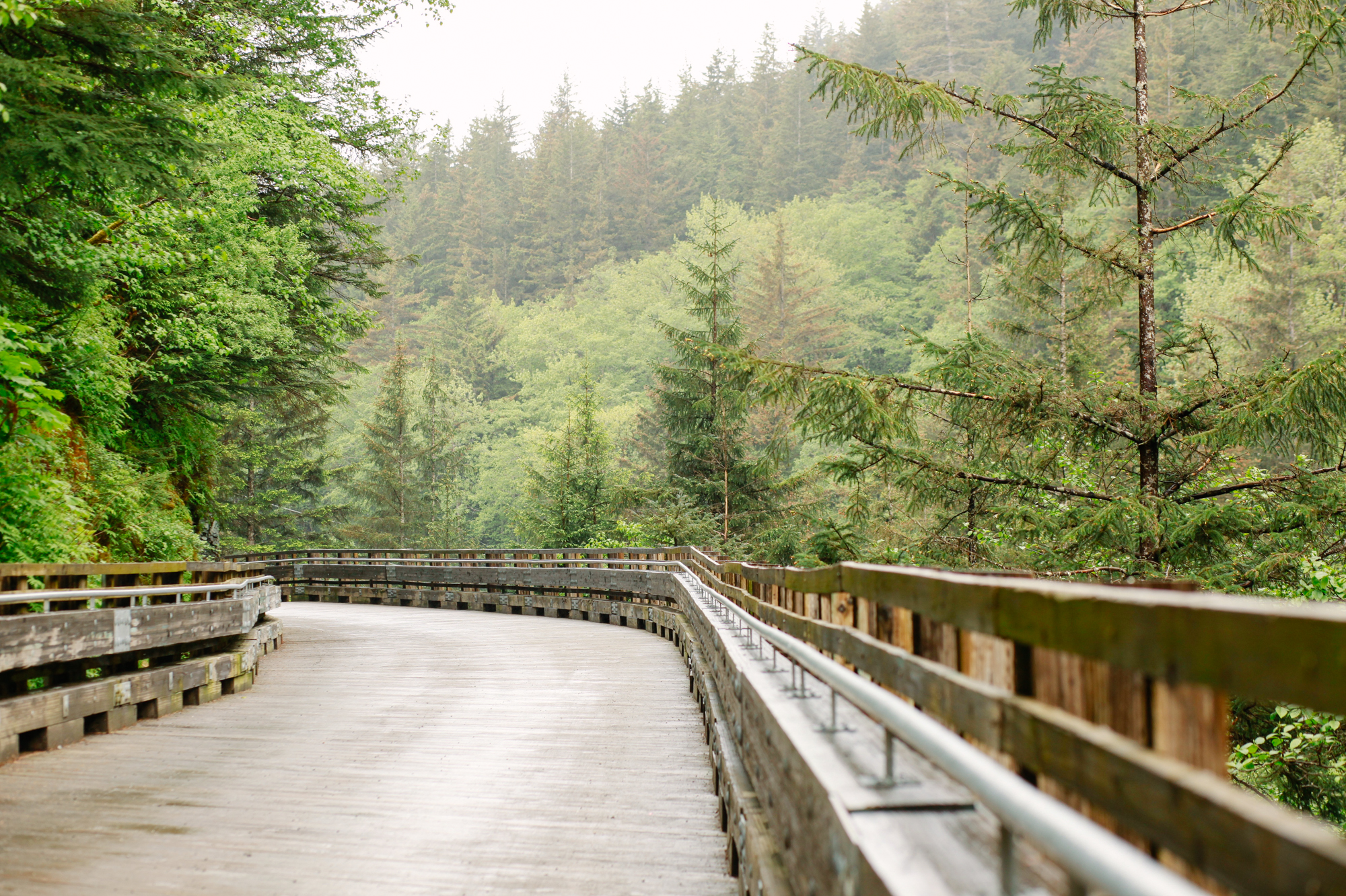 Hiking Trail in Juneau, Alaska | Gold Creek Flume Trail | MALLORIE OWENS