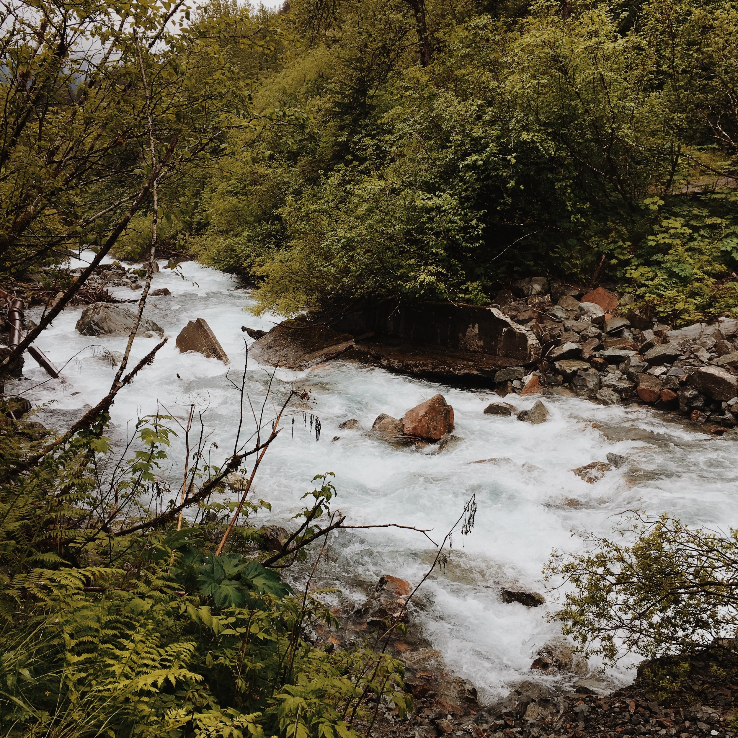 Hiking Trail in Juneau, Alaska | Gold Creek Flume Trail | MALLORIE OWENS