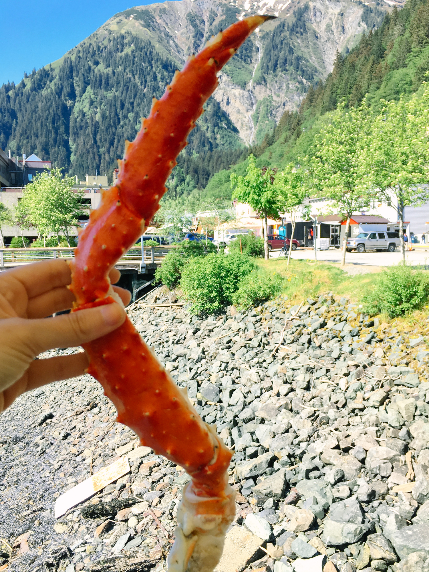 Places to Eat in Juneau, Alaska ↠ Tracy's King Crab Shack | MALLORIE OWENS