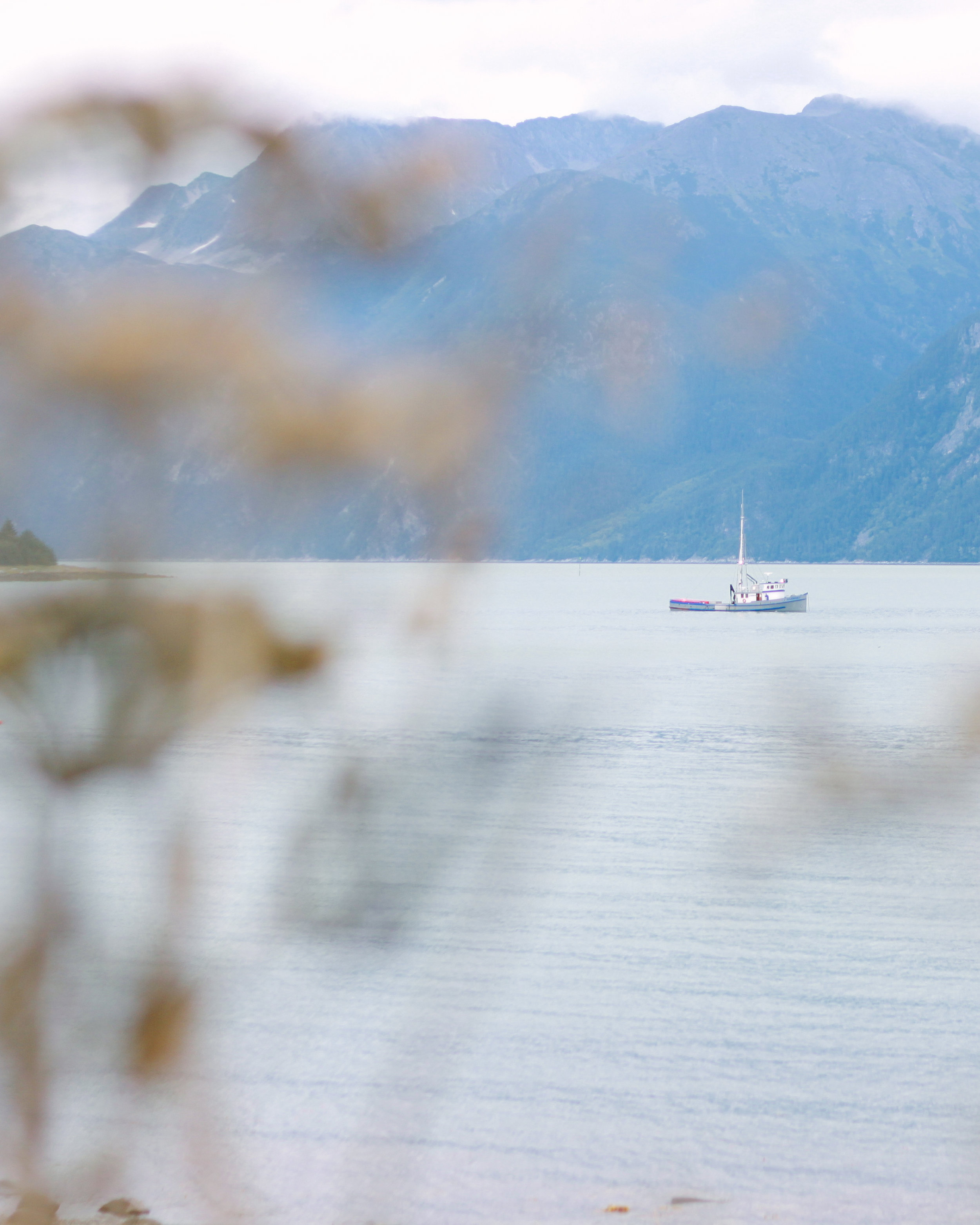 Haines, Alaska Travel Post | MALLORIE OWENS