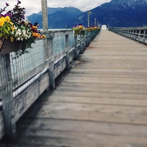 Haines, Alaska Travel Post | MALLORIE OWENS