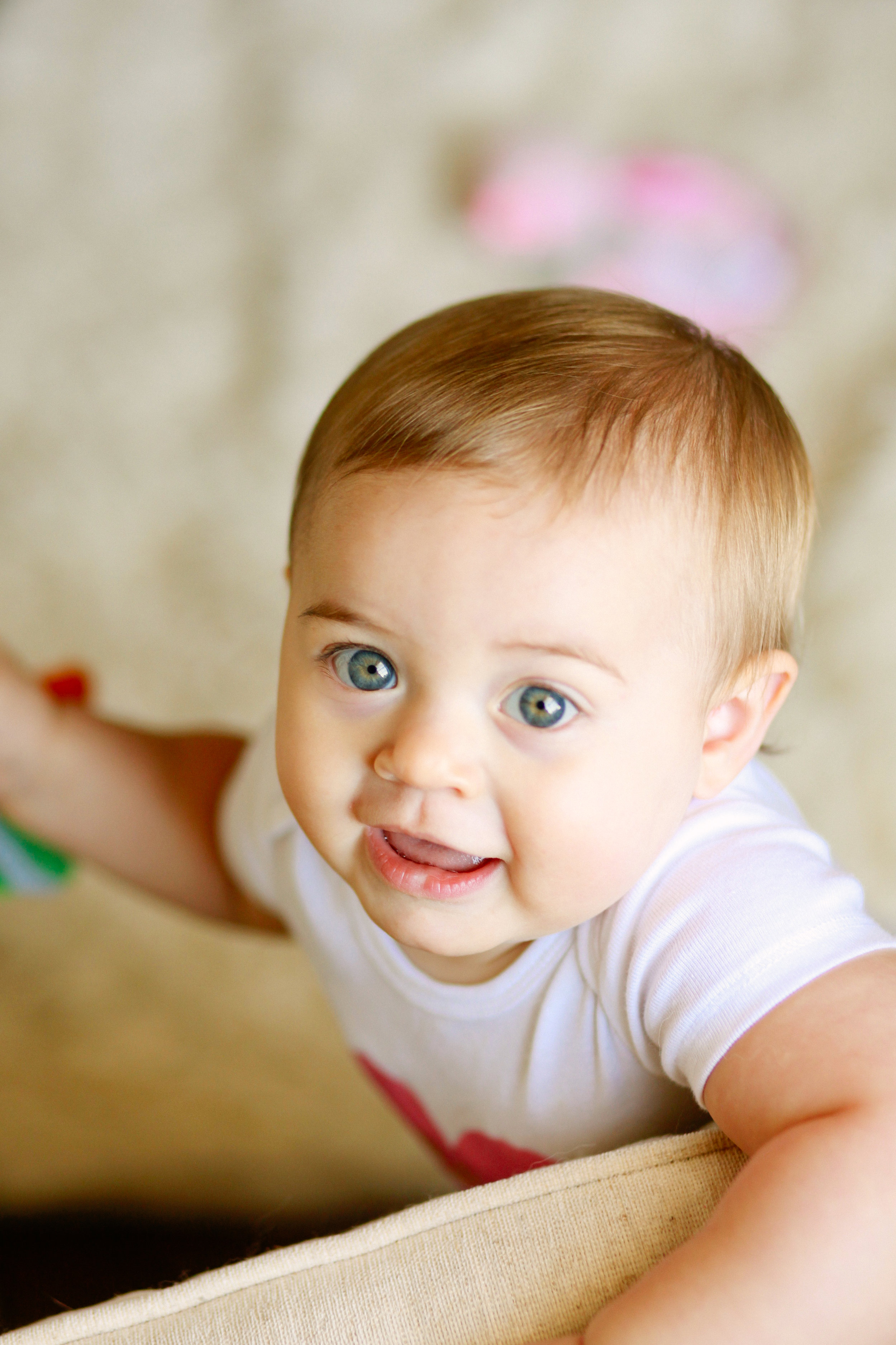 Iris Ann Owens ↠ 10 Months Photo Shoot | MALLORIE OWENS