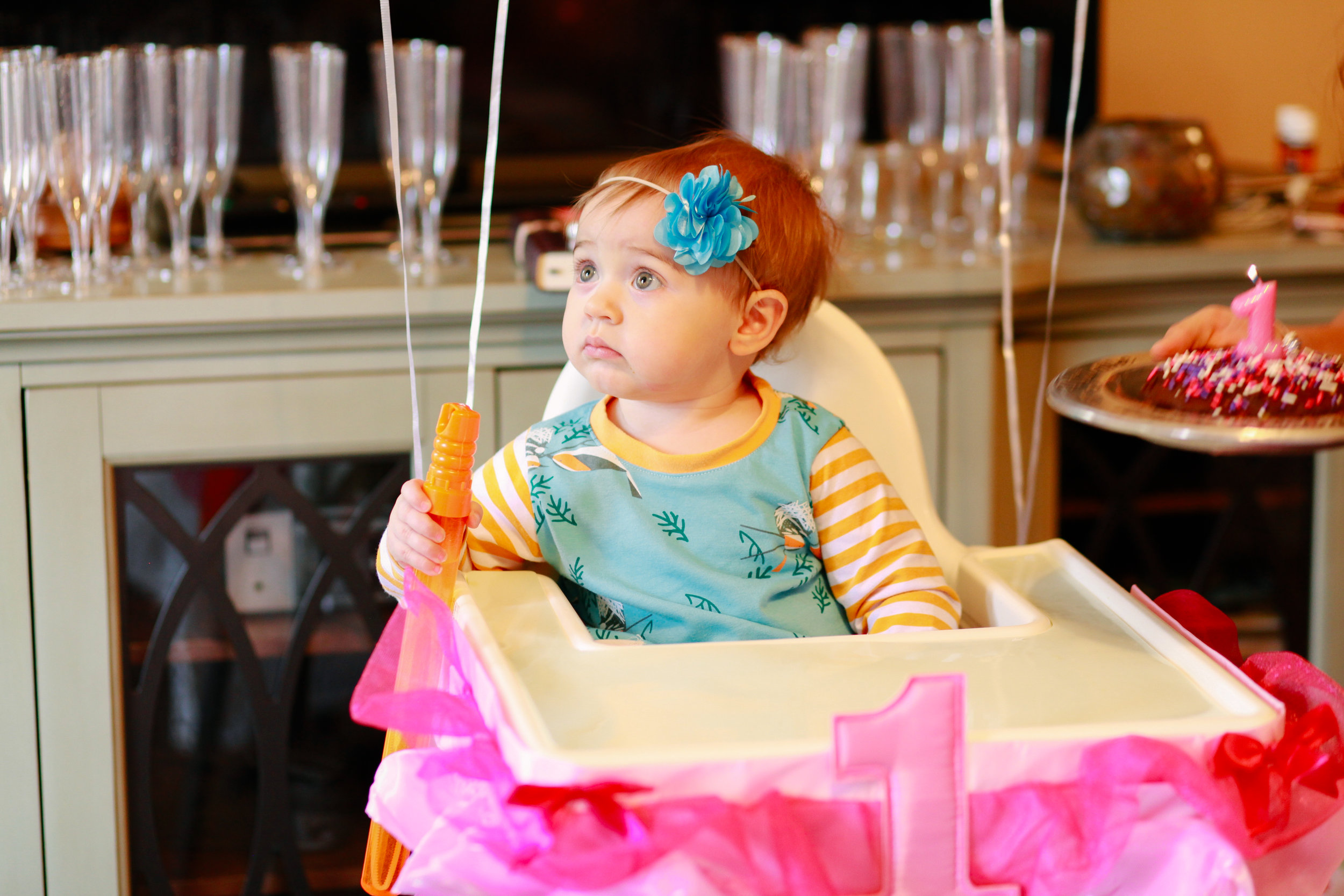 ONEderland First Birthday Party | MALLORIE OWENS